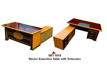 SET 003 — Executive tables
